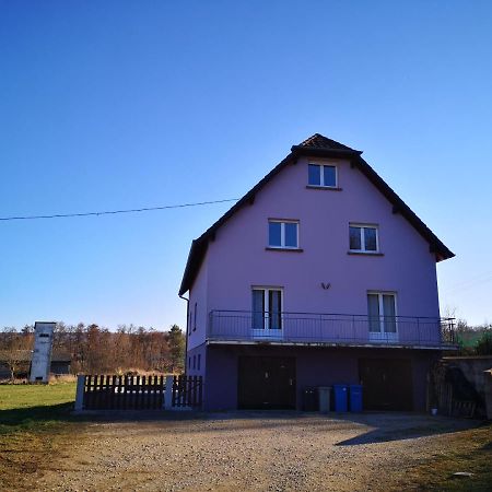 A L'Oree Du Bois Romanswiller Kültér fotó